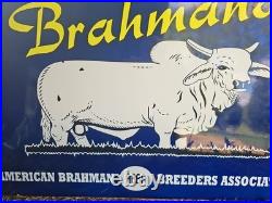 Giant Vintage American Brahman Breeders Assoc. Porcelain Sign Porcelain Sign Giant Vintage American Brahman Breeders Assoc. Porcelain Sign Porcelain Sign