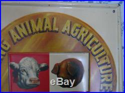 Rare Vintage Purina Chows Metal Sign Farm Feed and Seed Cow, Pig Swine, Chicken