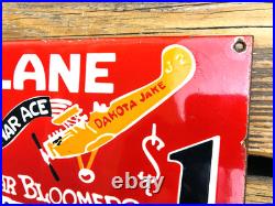 VINTAGE 12x6 AIRPLANE RIDES AT JAKES PASTURE OIL PORCELAIN GASOLINE GAS SIGN