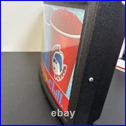 VINTAGE SLUSH PUPPIE Light 22x11 ADVERTISING SIGN Icee WORKS! #301
