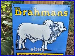 Vintage 1958 Brahmans American Breeders Association Porcelain Enamel Sign Texas