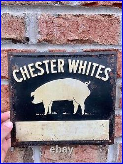Vintage Original Chester Whites Embossed Painted Metal Pig Sign Scioto Signs