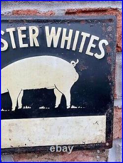 Vintage Original Chester Whites Embossed Painted Metal Pig Sign Scioto Signs