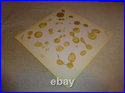 Vintage Original Little Caesars Pizza? 14 Plastic Restaurant Advertising Sign