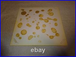 Vintage Original Little Caesars Pizza? 14 Plastic Restaurant Advertising Sign