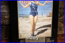 Vintage Pin Up girl Beach Bikini advertising Hardware Store Sign American Flag