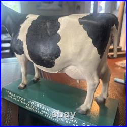 Vtg 1950s True Type Holstein Friesian Cow the Holstein Association of America
