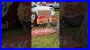 You-Won-T-Believe-These-Vintage-Signs-Barnfind-Petrolina-Vintage-Advertising-Age-01-gne
